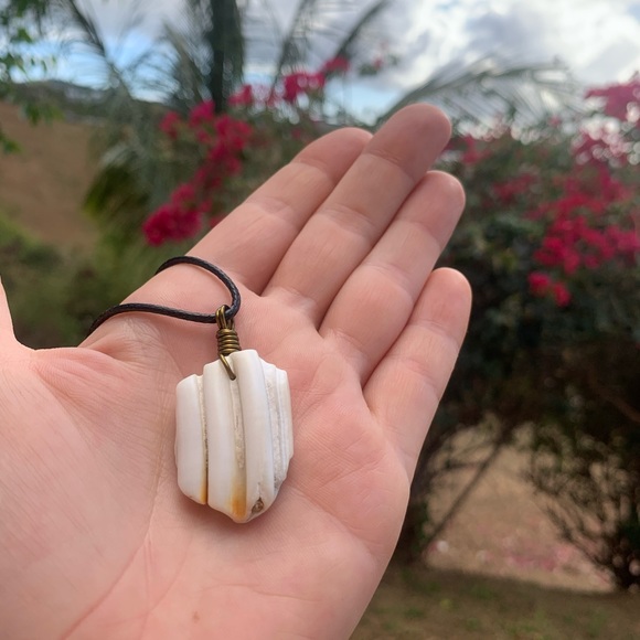 *SOLD* Sea tumbled horse tooth drilled necklace - Picture 4 of 5